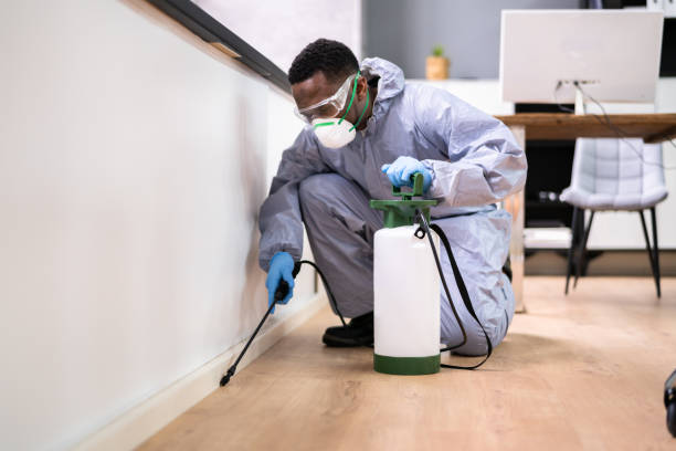 Emergency Pest Control Services in Azle, TX